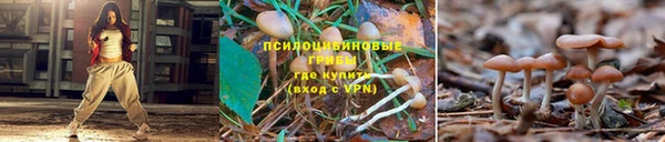 экстази Алзамай