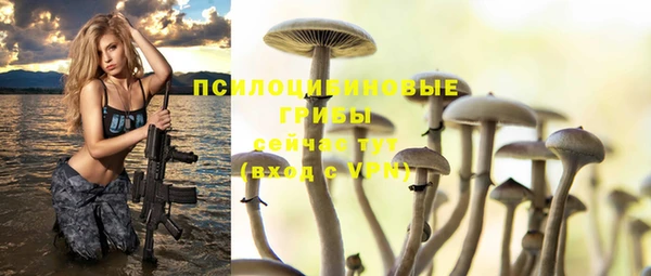 экстази Алзамай