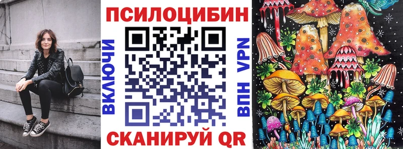 Галлюциногенные грибы Cubensis Борзя
