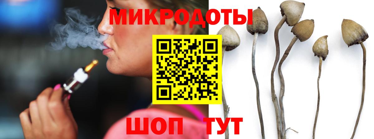 Борзя  Галлюциногенные грибы Magic Shrooms  Вход с VPN 